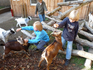 Stefanie Hertel, Jugendfarm, gesundes Essen, Mittagstisch, Kinderarmut